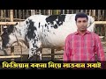 সফল খামার গড়তে, উন্নত জাতের গরু সংগ্রহ  করুন