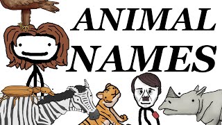 Where Animals' Scientific Names Come From by Sam O'Nella Academy 11,339,822 views 1 year ago 9 minutes, 41 seconds