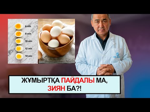 Бейне: Әтештер жұмыртқаны қалай ұрықтандырады?