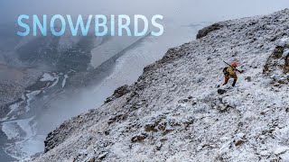 SNOWBIRDS: An Oregon Winter Adventure in Search of Mountain Quail, Valley Quail, and Chukar
