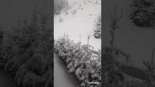 Ruhunuzu Dinlendirecek Kıraat Hicr Suresi Hazza Al Balushi...