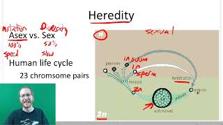 AP Bio: Meiosis and Sexual Reproduction - Part 1
