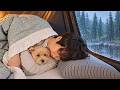 🌧️ 비가 이렇게 올 줄은 몰랐습니다... 강아지와 추워진 숲속에서 하룻밤|Rain Camping ASMR 🐶