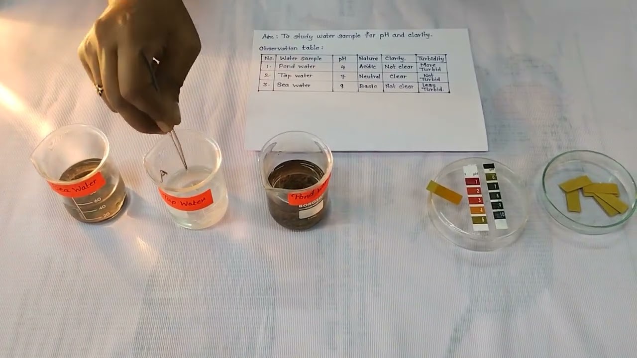 To study pH and clarity of given water sample II 12th Biology Practicle II Maharastra Board