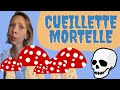 Intoxication aux champignons et  lamanite phallode  cueillette mortelle  sant