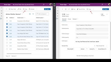 24. Customizing App Commands in Model driven Forms