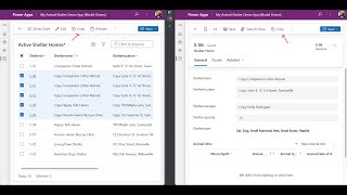 24. Use Custom App Commands in Microsoft Model driven App (Form)