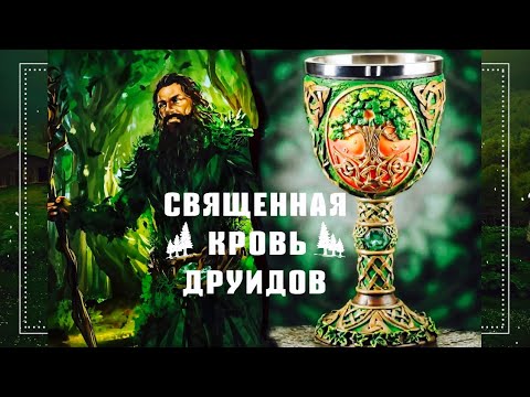 Святой ГРААЛЬ Священная кровь друидов. Святой ГРААЛЬ Священная кровь друидов.