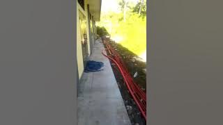 Pasukan Anti Prei - Happy Asmara (Edisi Pekerja Genset)