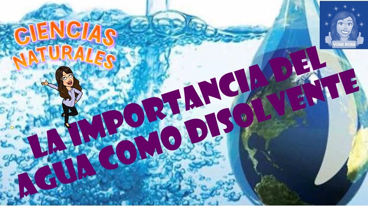 La Importancia Del Agua Como Disolvente Youtube