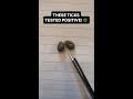 How To Test Ticks For Lyme