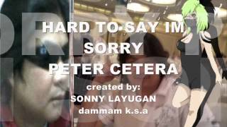 HARD TO SAY IM SORRY &quot;sonny layugan&quot;