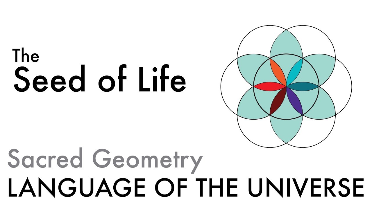 Семя Жизни – Сакральная Геометрия