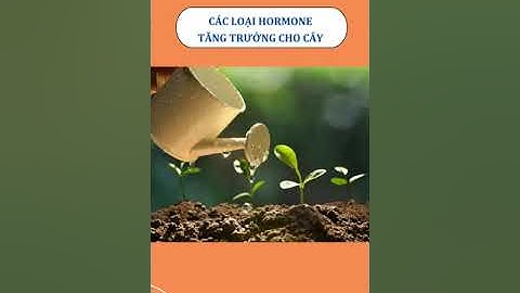 ✅ CÁC LOẠI HORMONE TĂNG TRƯỞNG CHO CÂY TRỒNG