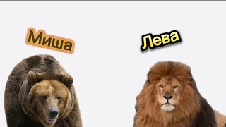 Медведь Миша и лев Лева или не смешной анекдот Алеши