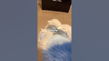 The Most Suspicious Geometry Dash Reaction