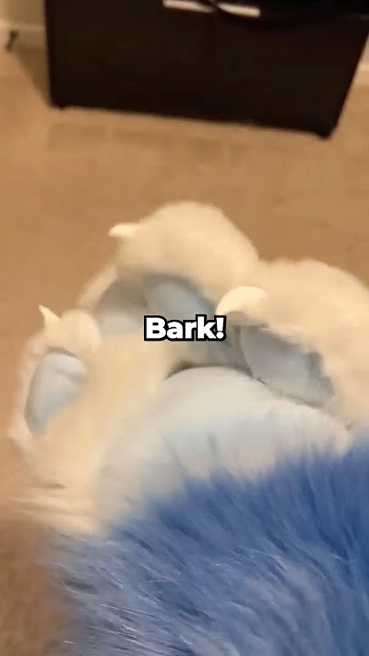 The Most Suspicious Geometry Dash Reaction