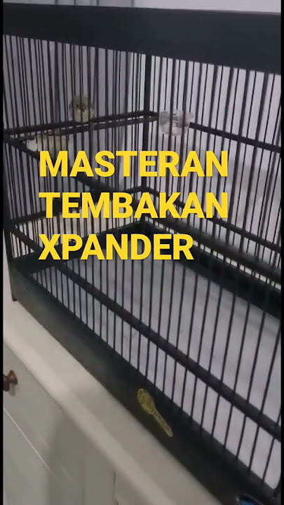 TEMBAKAN XPANDER