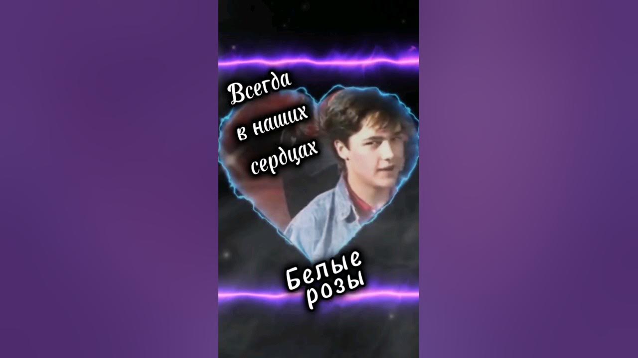 Белые розы шатунов. Песня шатунова белые розы слушать. Ласковый май белые розы белой зимой. Памяти юры шатунова. Песня шатунова белые розы слушать.