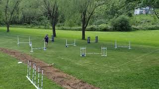 Details Buffett Masters Jumpers Course 1 5 31 20 Final News