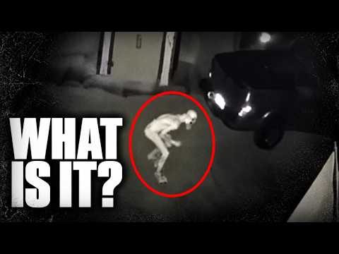 I Have No Idea What These Creatures Are... Do You?