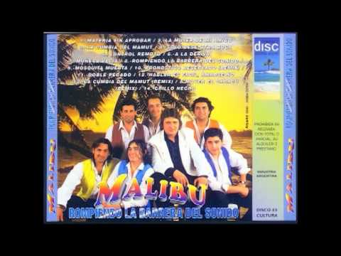 grillo negro grupo malibu - YouTube