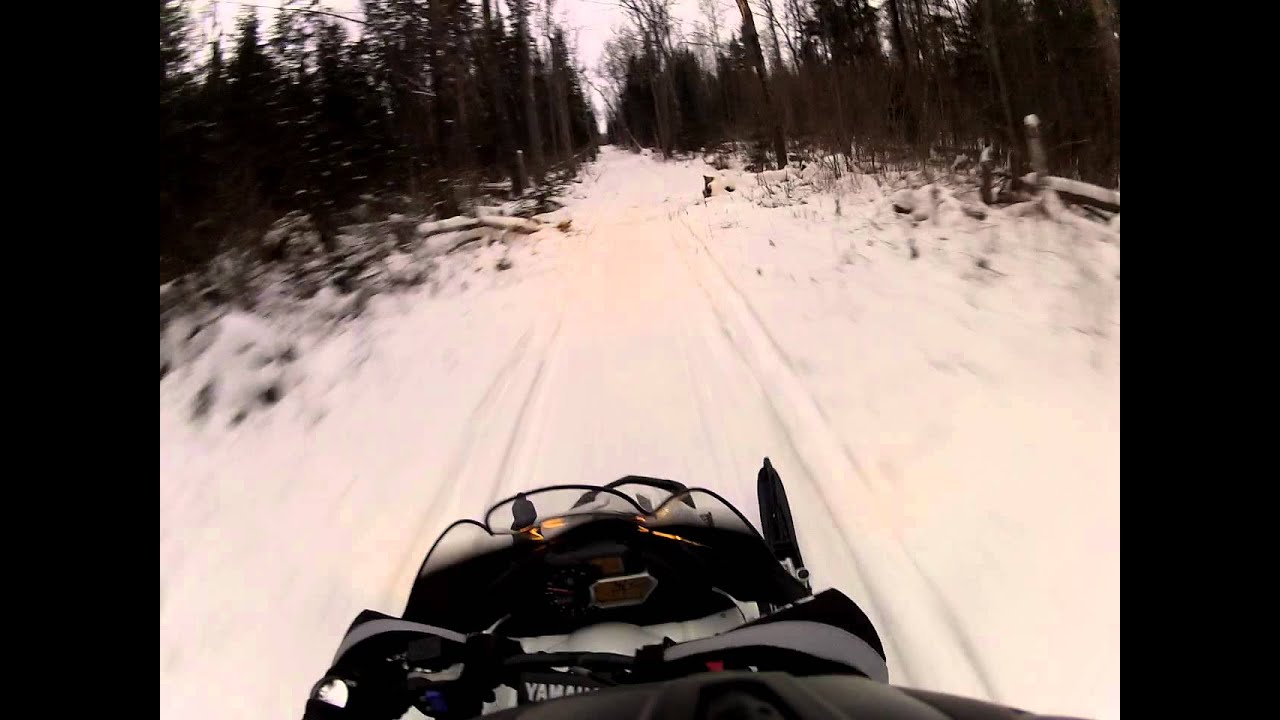 Trail riding on my snowmobile Deer almost gets taken out... YouTube