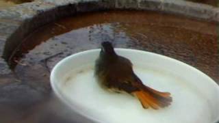 WSBC0161.AVI