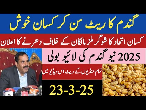 Wheat support price in Punjab 2025 ll new gandam ka rate ll گندم کی ...