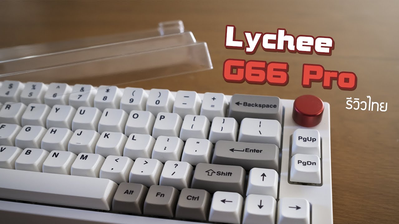 Lychee Gaming : G66Pro 🎮 | 65% with knob | ฿2xxx | รีวิวไทย [TH]