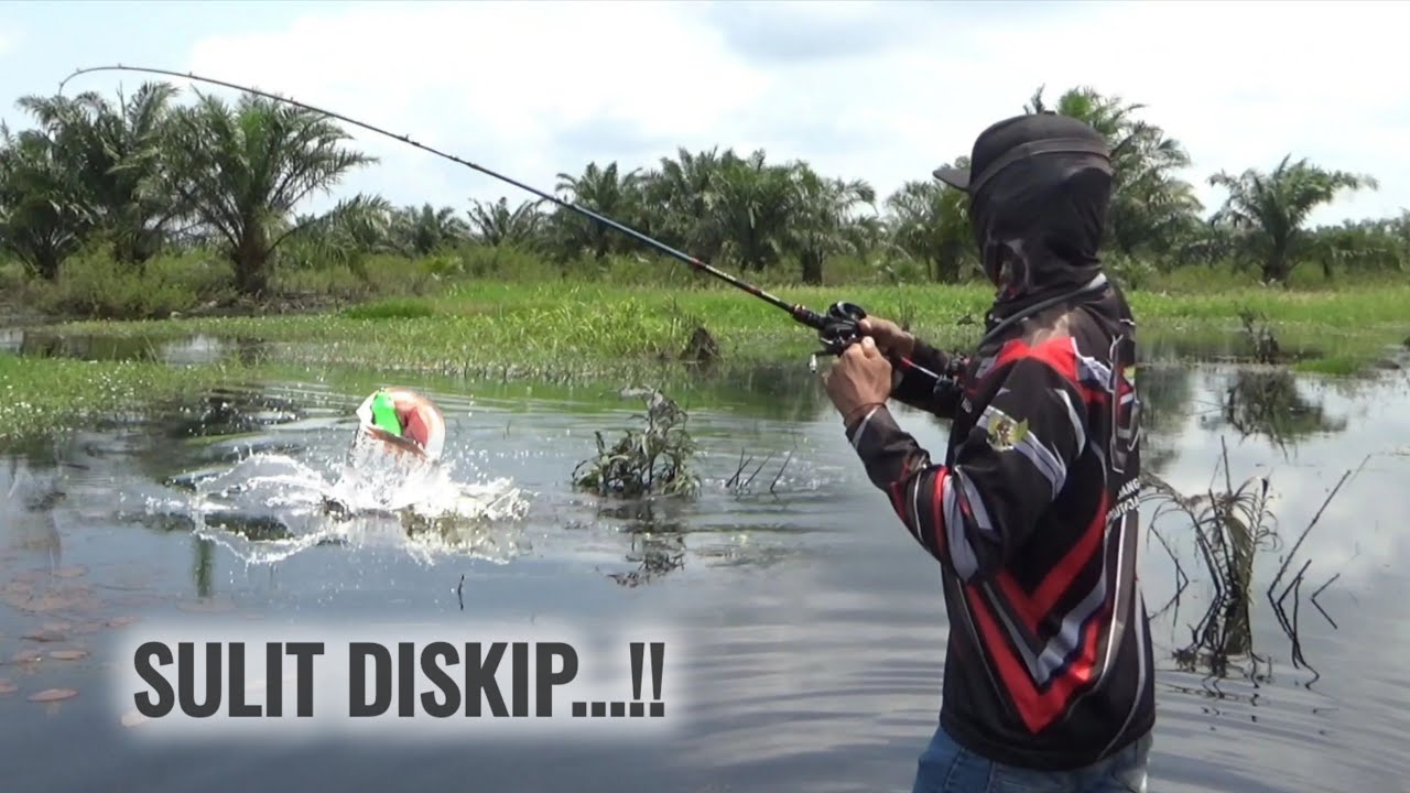 2-HARI CASTING GABUS