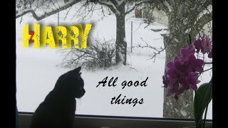 Video thumbnail of "All good things -  Harry Zepf (Klaatu)"