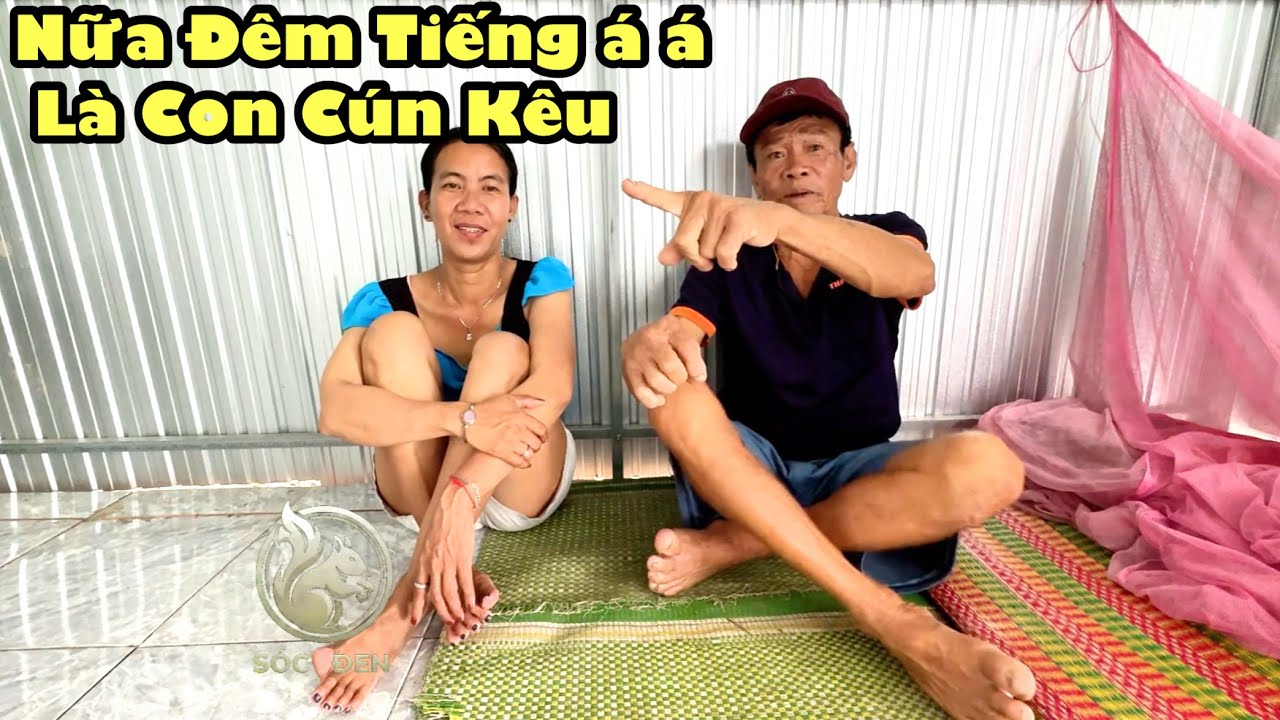 Bất ngờ nữa đêm có người soi ếch đi ngang nhà chú giá nge tiếng đánh vần á á chú giá nói con cún kêu
