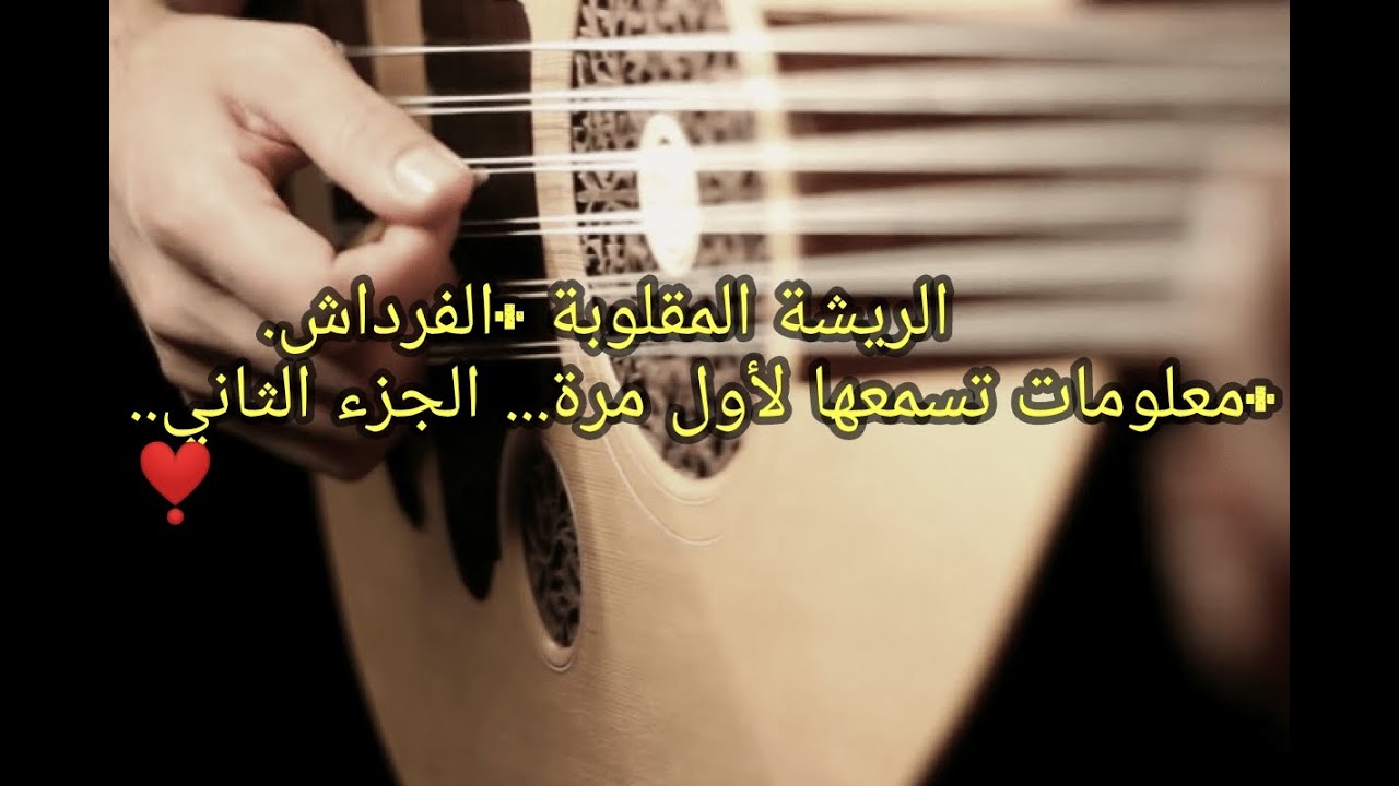 🤩الريشة المقلوبة والفرداش وأسرار تسمعها لاول مرة 🤩