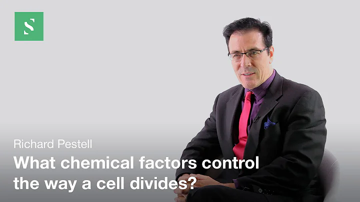 Cell Cycle and Cancer - Richard Pestell