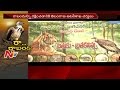 Vulture protected species for Telangana forest officials