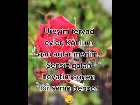 Ureyim feryad eyler, Könlum qan aglar menim. Sensiz qalan heyatim sonen bir sama benzer.😪