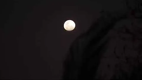 Alejandro Velazquez Magician REEL