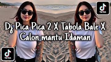 DJ PICA PICA 2 X TABOLA BALE X CALON MANTU IDAMAN🎵DJ VIRAL TIKTOK TERBARU 2025!!! 