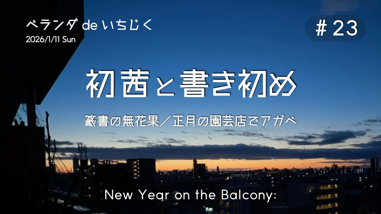 ＃23. 初茜と書き初め／篆書の無花果・正月の園芸店でアガベ