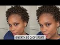 6 Months Post Big Chop | Big Chop Journey