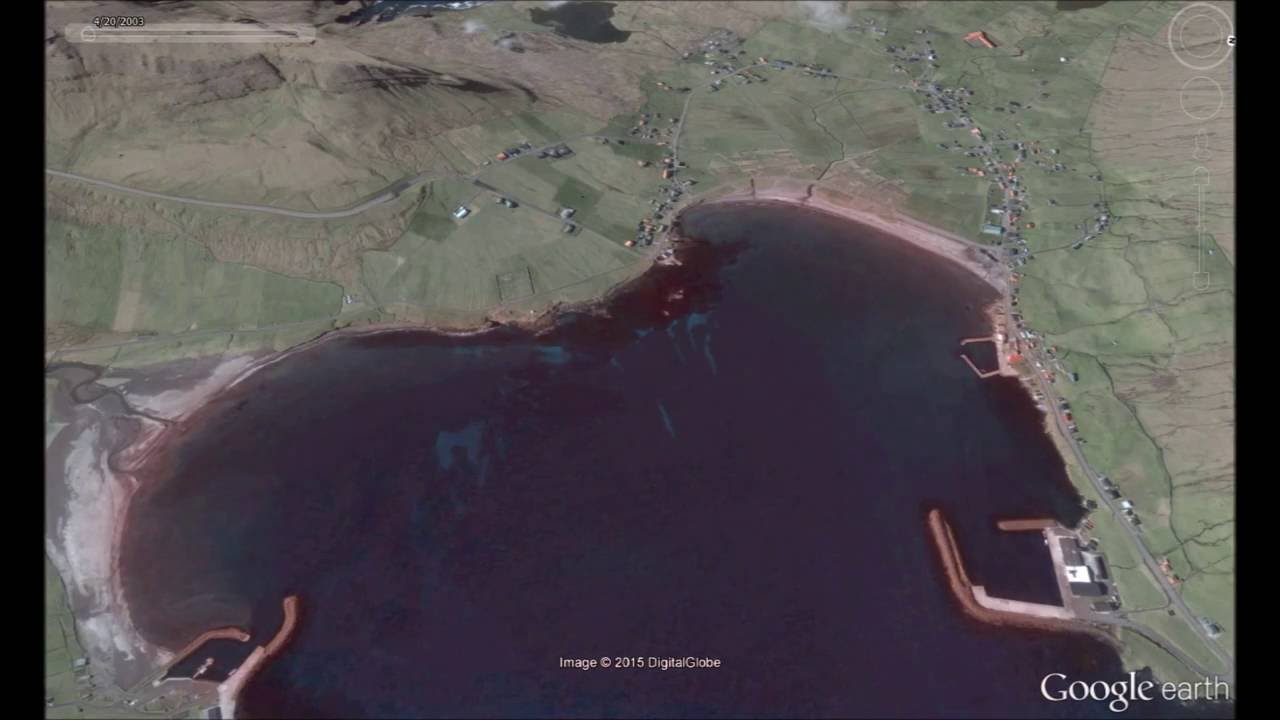 The Biggest heart in the world YouTube