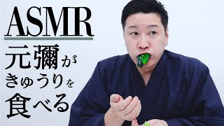 【ASMR】元彌がきゅうりを食べる