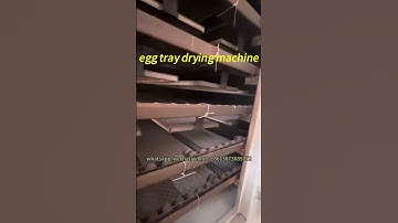 How to dry egg trays or egg cartons efficiently? Egg tray dryer in paper tray molding plant #dryer