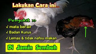 PENYEBAB MATA AYAM BERAIR. 