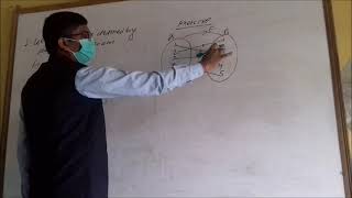 Inverse image of an element  and inverse function || NEB|| Class- 11 || Com . Math