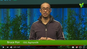 ECO17 Berlin: Bruce Pon BigchainDB
