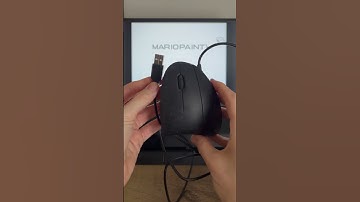 A Computer Mouse For Mario Paint!