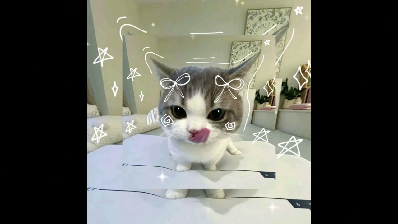 Frou Frou - A New Kind Of Love (sped up \u0026 reverb) (TikTok Version)