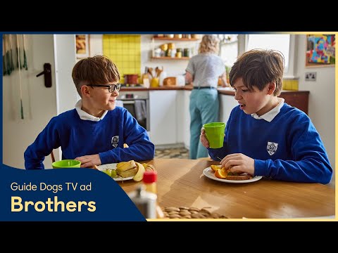 Guide Dogs TV Advert | Brothers 45"